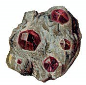 external image AE_ruby.jpg external image AE_ruby.jpg